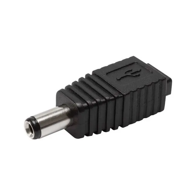 Männliche Power mit Mikro